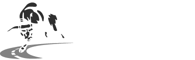 TAURUS TRANSPORT